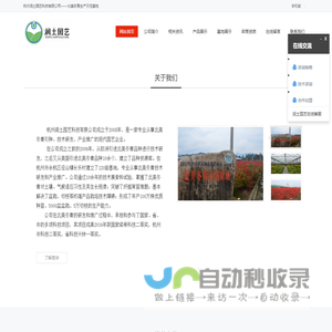 杭州润土园艺科技有限公司-北美冬青_北美冬青小苗_北美冬青盆栽_|福来红|润土园艺